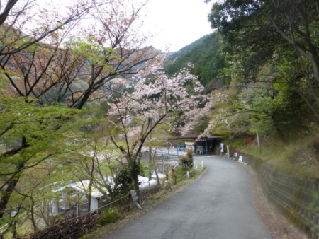 画像31