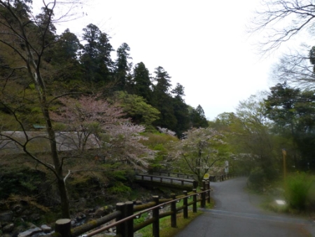 画像34