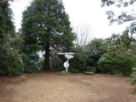 養老山