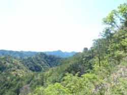 画像15
