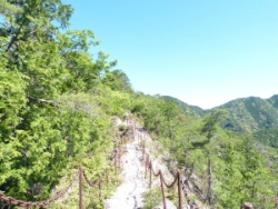 画像16