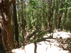 宇連山分岐