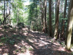 画像28