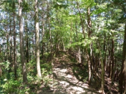 画像29