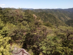 滝尾根展望台