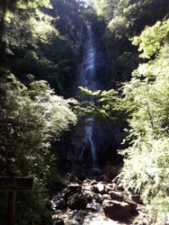 亀石の滝