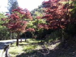 画像37