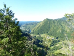 画像8