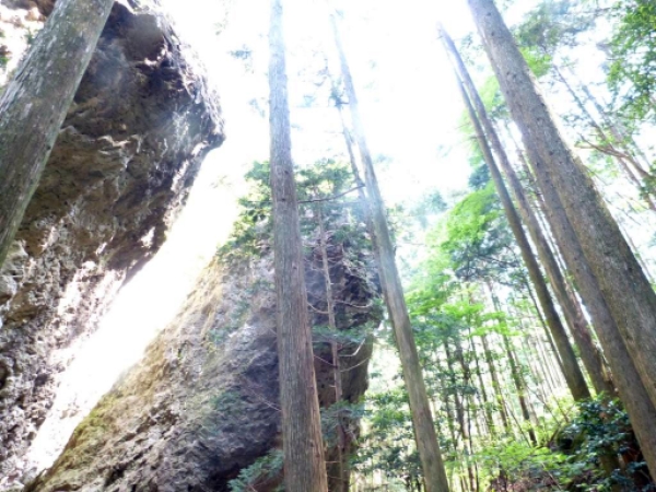 画像6