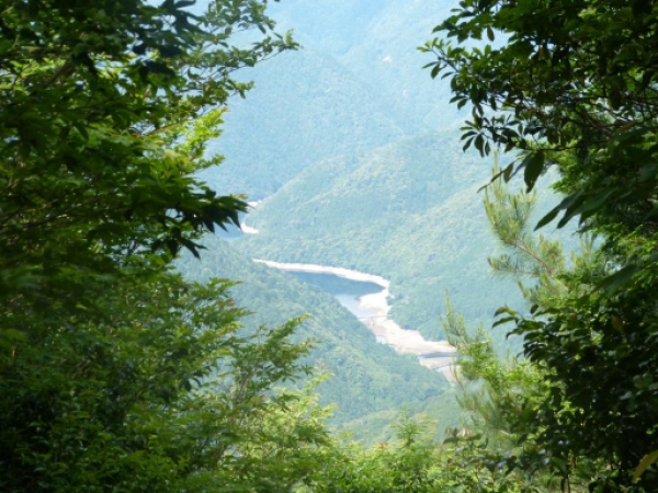 画像13