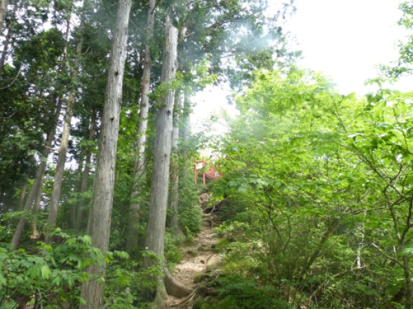 画像20