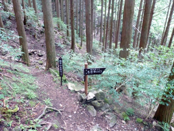画像26