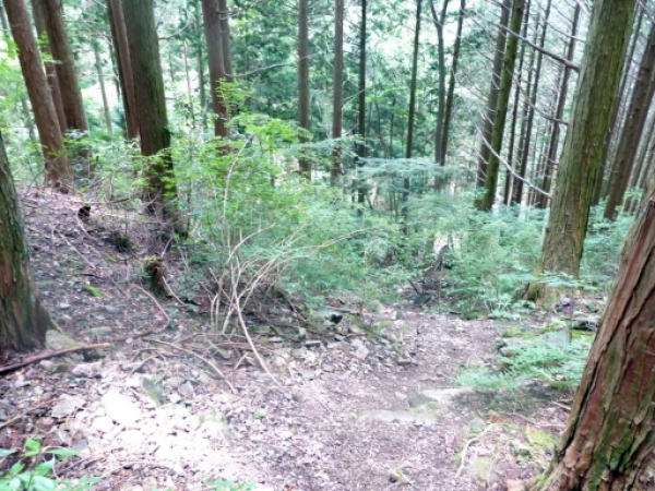 画像28