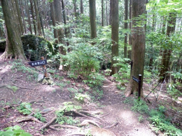 画像32