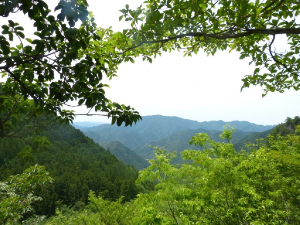 画像34