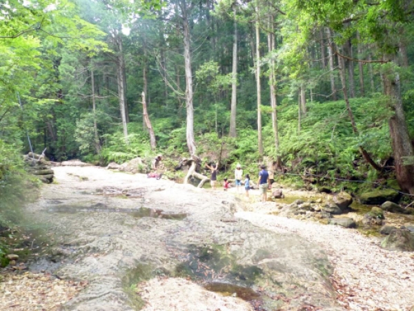 画像43