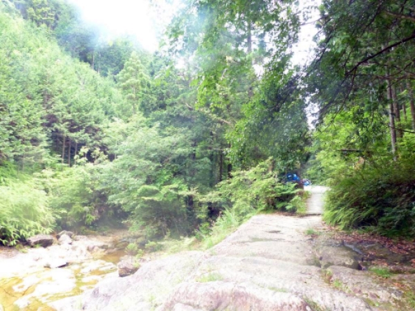 画像44