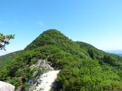 釈迦の白毫