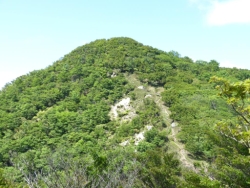 画像15