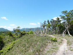 画像20