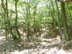 画像21