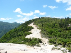 画像24