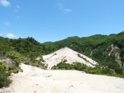 画像25