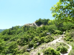 画像26