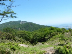 画像27