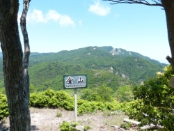 金山