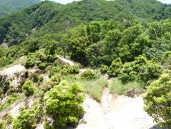 画像29