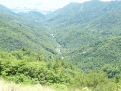 画像30
