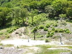 中峠
