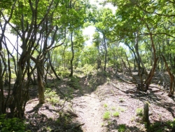 画像32