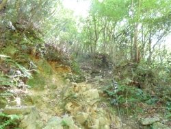 画像35
