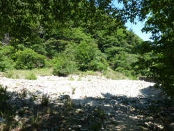画像37