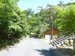 画像39