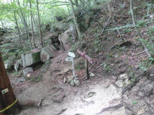 登山道下山道分岐