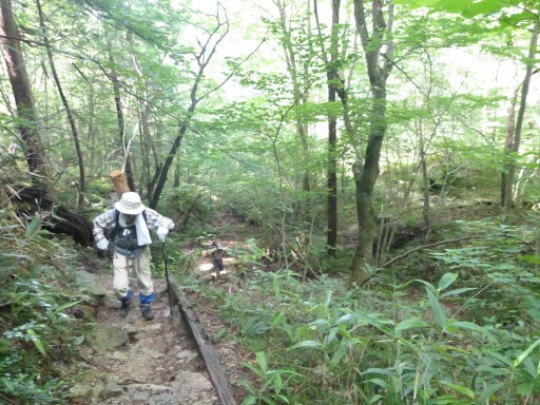 画像7
