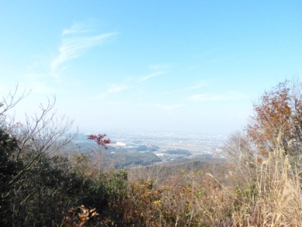 茶臼山