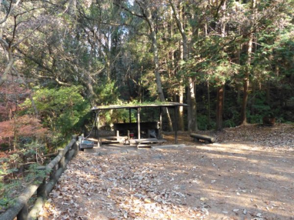画像15