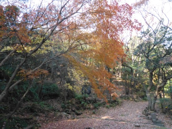 画像16