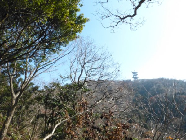 画像20