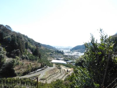 画像25