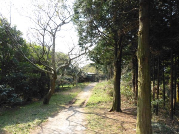 画像22