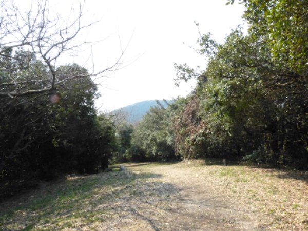 画像24