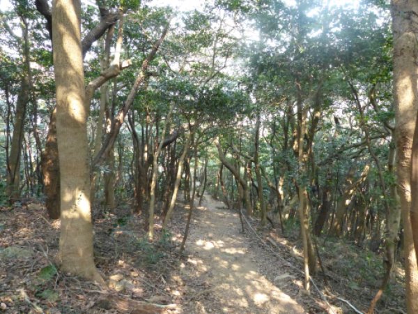画像28