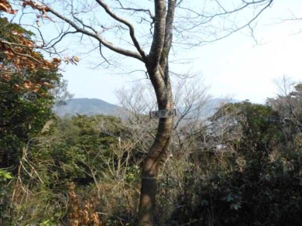 滝頭山