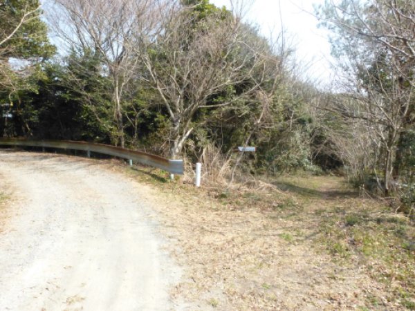 画像31