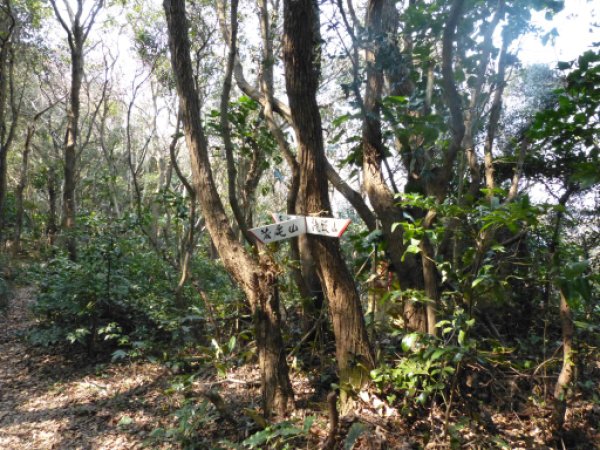 中西山